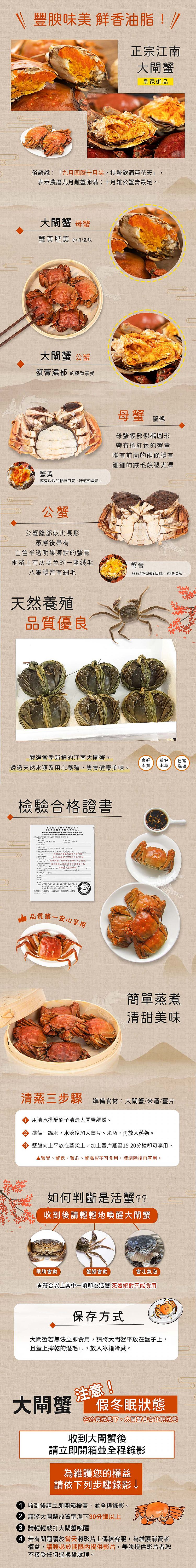 大閘蟹 蟹膏 公蟹 蟹膏 大閘蟹 公蟹