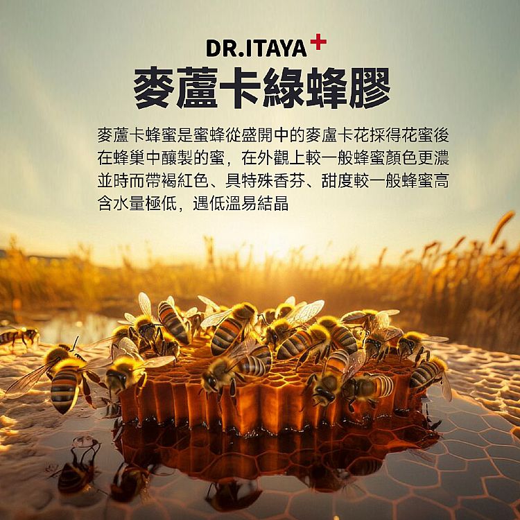 台灣製造 DR.ITAYA 薄荷 蜂膠 台灣製造 攜帶