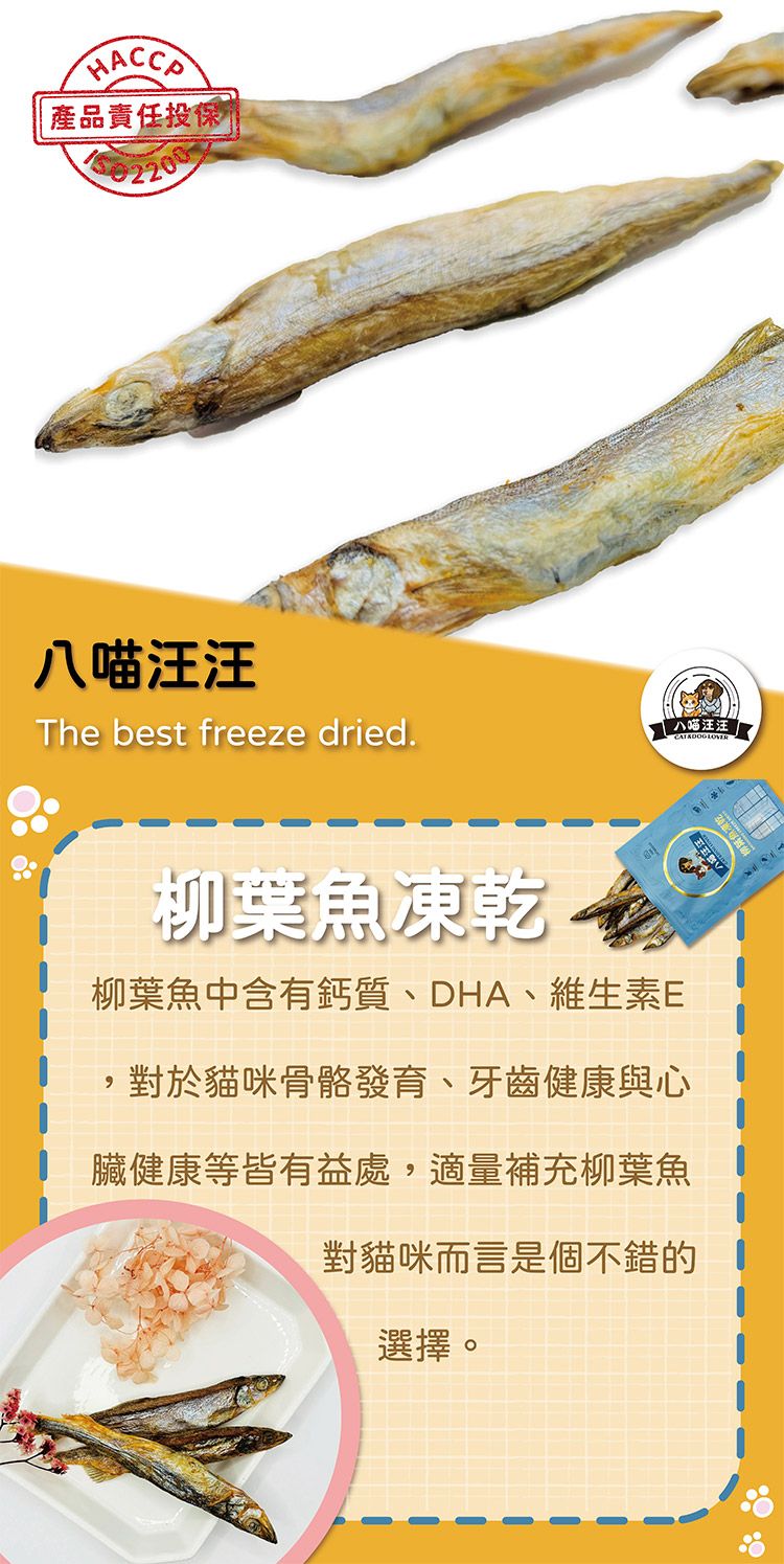 寵物 凍乾 寵物 牛肉 原肉 凍乾