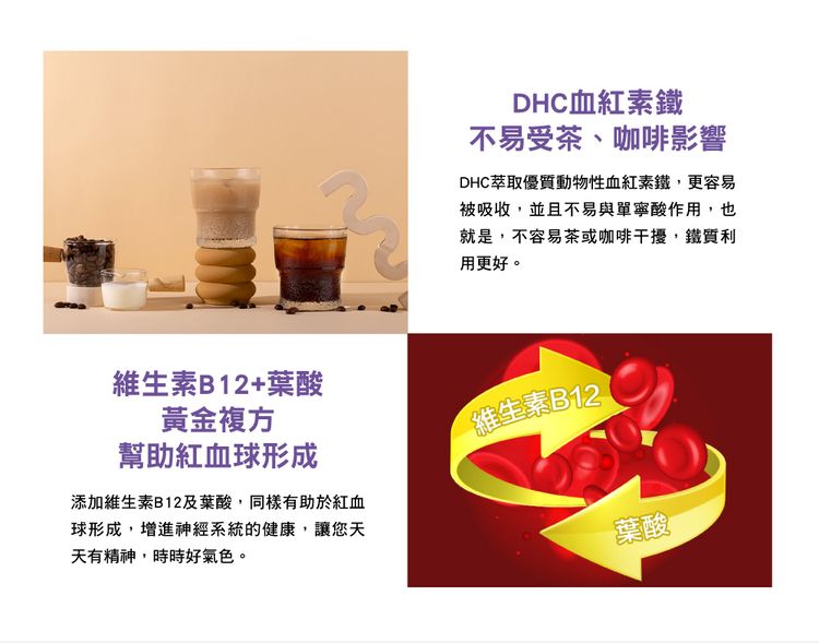 DHC 保健食品 葉酸 保健食品