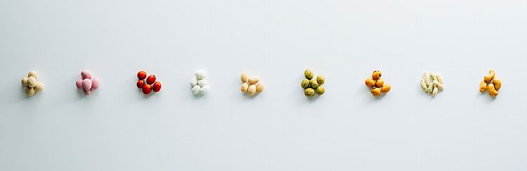 鹹香 酥脆 美國 堅果 美國 開心果
