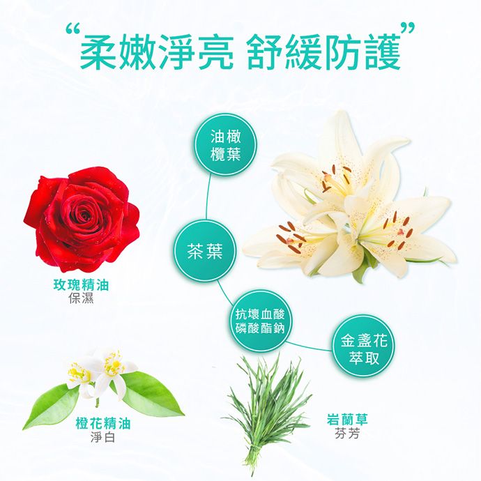 臉部保養 保濕 面膜 臉部保養 保濕 面膜