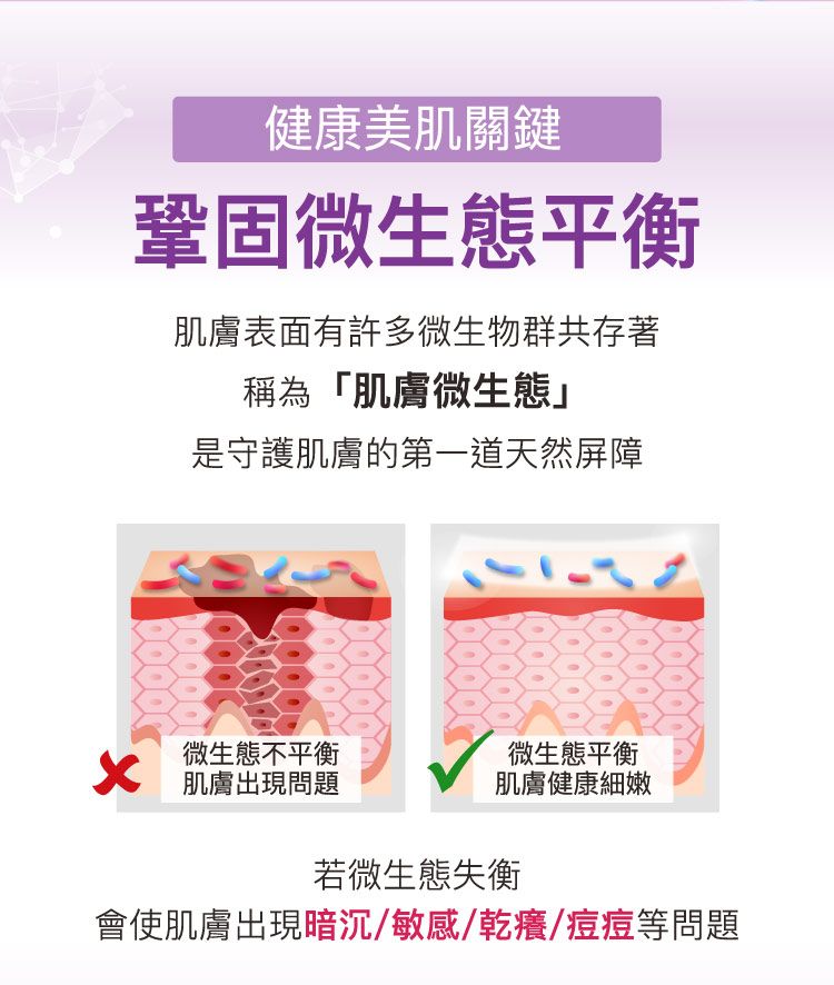 豐潤 面膜 豐潤 精華液 面膜 滋養