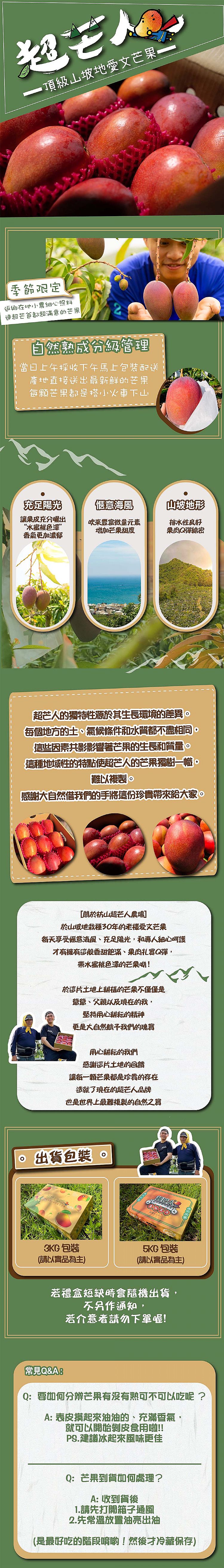 屏東 愛文芒果 屏東 水蜜桃色澤 屏東 禮盒