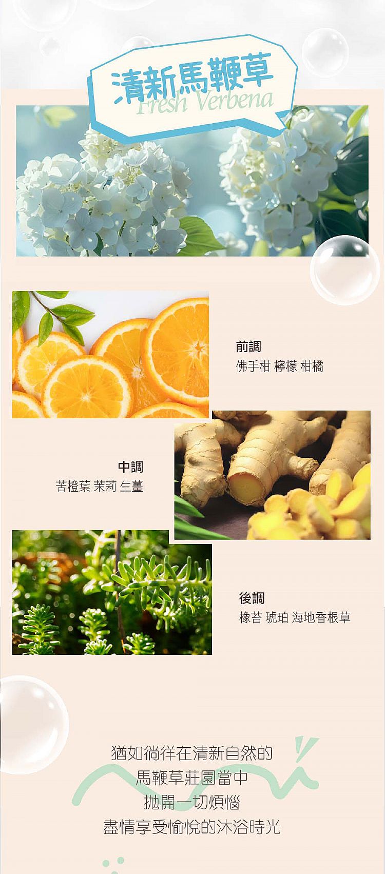 豐潤 沐浴露 綿密 泡泡 沐浴露 綿密