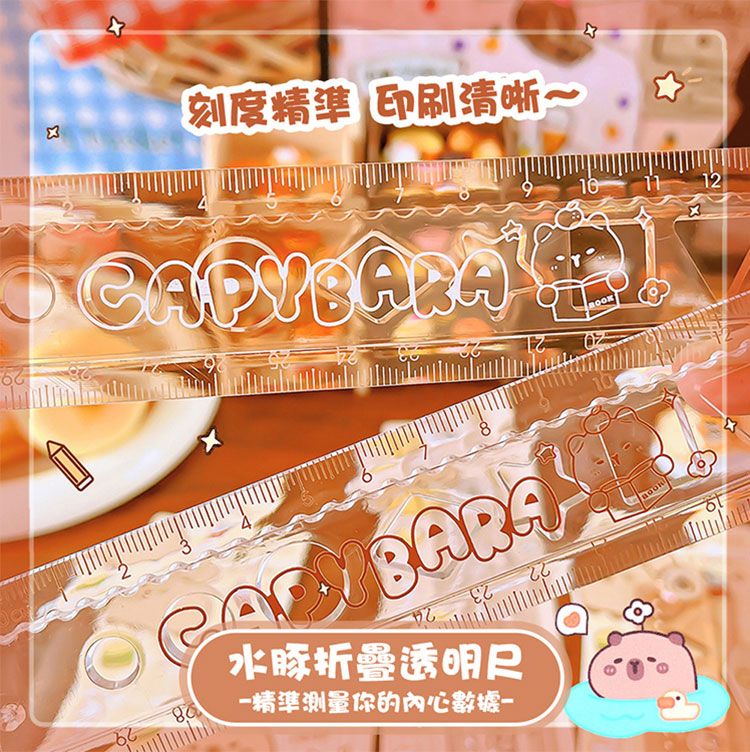 透明 卡皮巴拉