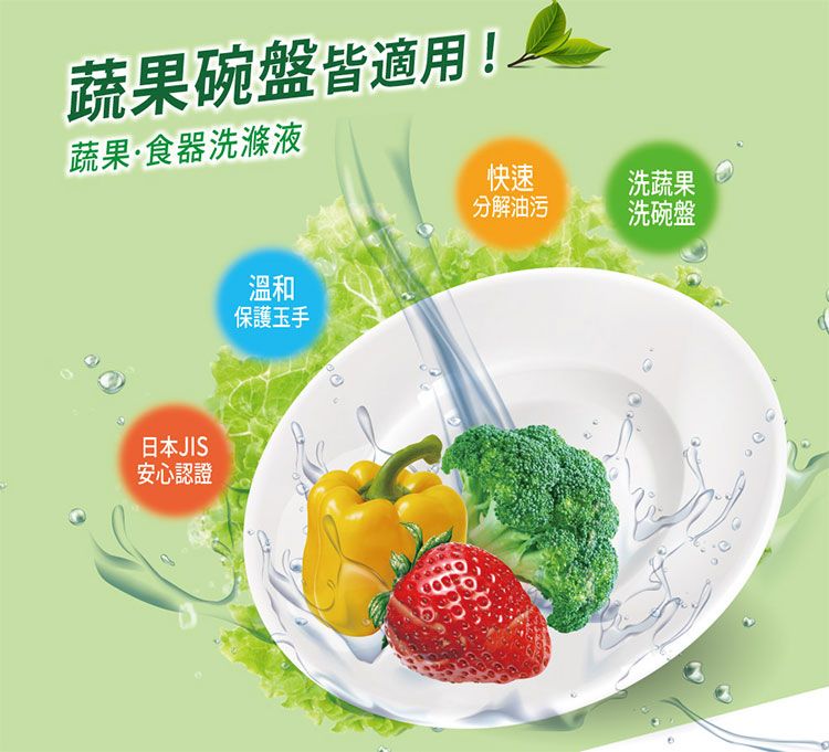 洗潔精 溫和 OP 洗潔精 OP 茶酚