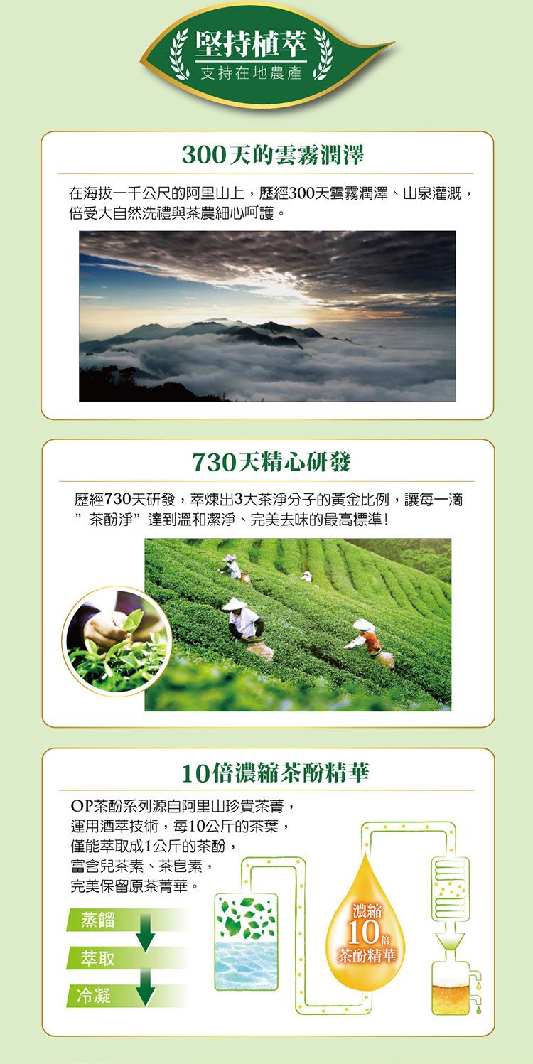 洗潔精 溫和 OP 洗潔精 OP 茶酚