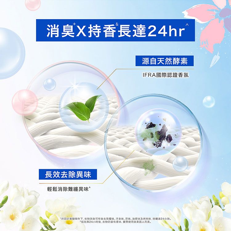 溫和 酵素 白蘭 酵素 手洗精 小蒼蘭