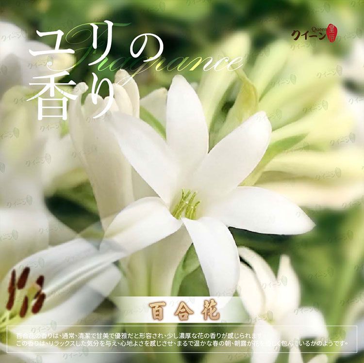 艾草 淨身