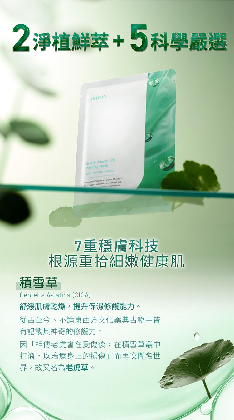 20260722102013321_750_0_80.jpg 面膜 臉部保養 舒緩 臉部保養 修復 臉部保養