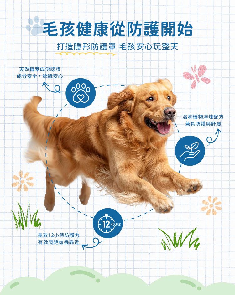 無酒精 普潔 天然 草本 無香料 無酒精