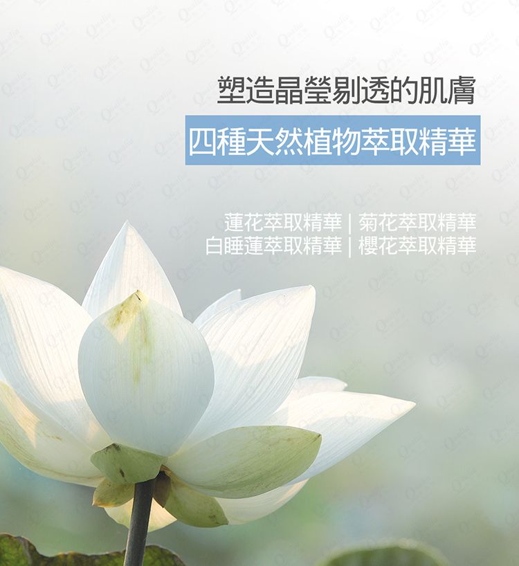 麝香 香水 韓國 去角質 韓國 香水