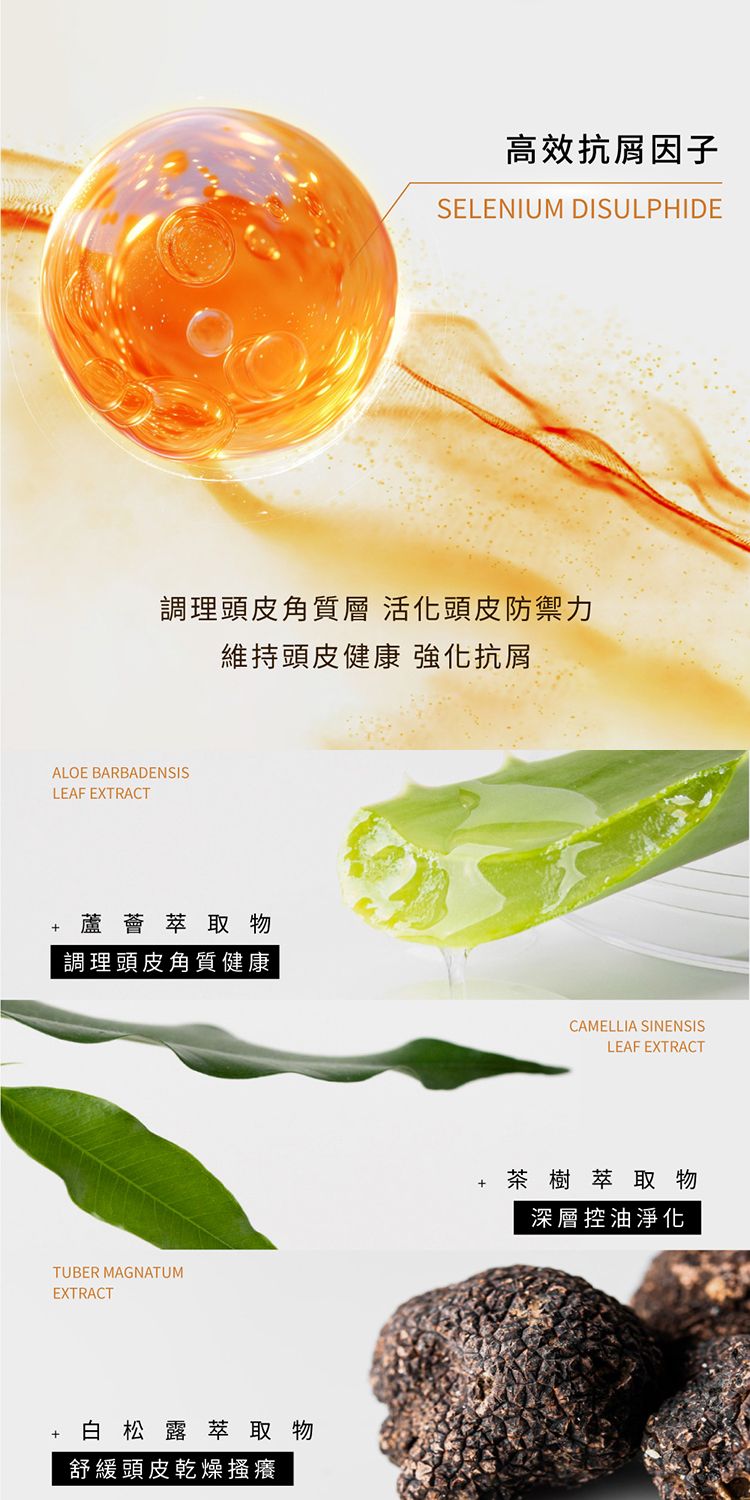 無矽靈 洗髮精 溫和 清爽 草本 洗髮精