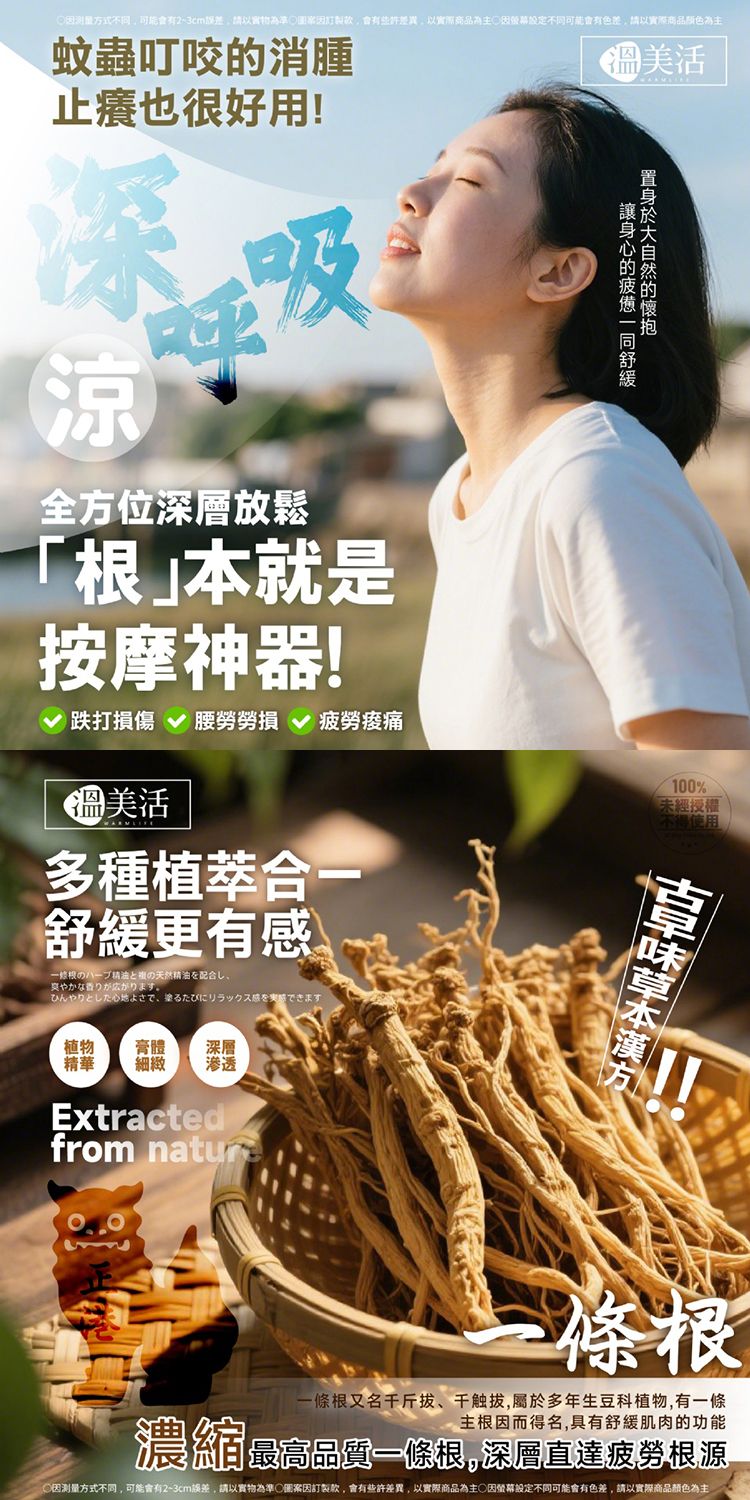 草本 溫美活 一條根 滾珠 按摩 滾珠