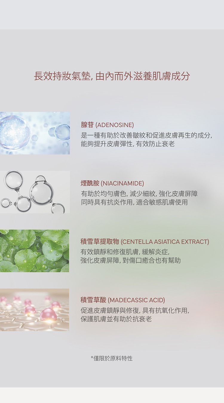 20251027152123905_750_0_80.jpg 持妝 粉餅 持妝 韓國 韓國 粉餅