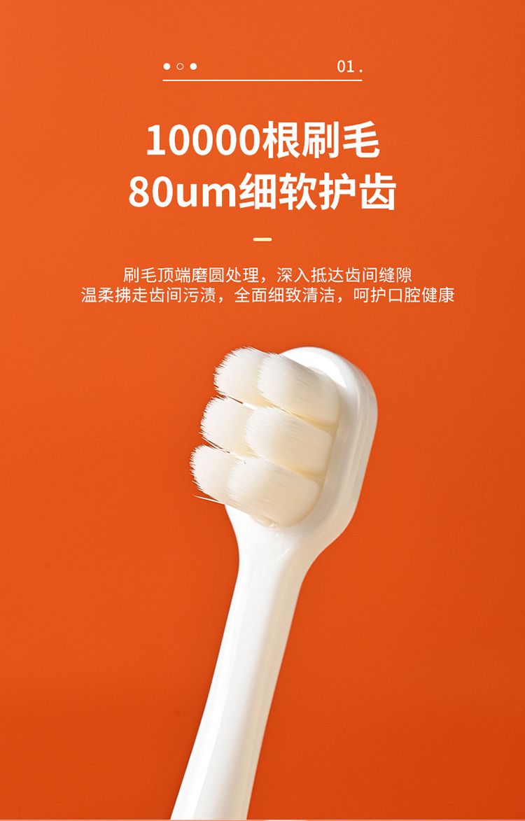 20251031170841569_750_0_80.jpg 牙刷 刷毛