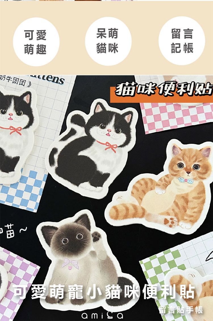 20251209162208719_750_0_80.jpg AMICA 貓咪