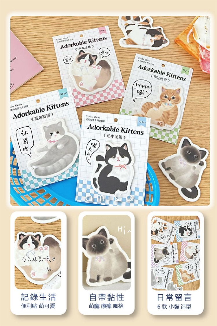 20251209162209734_750_0_80.jpg AMICA 貓咪