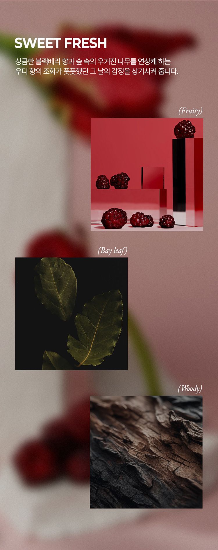 20251212092917772_750_0_80.jpg 香氛 護手霜 香水 香氛