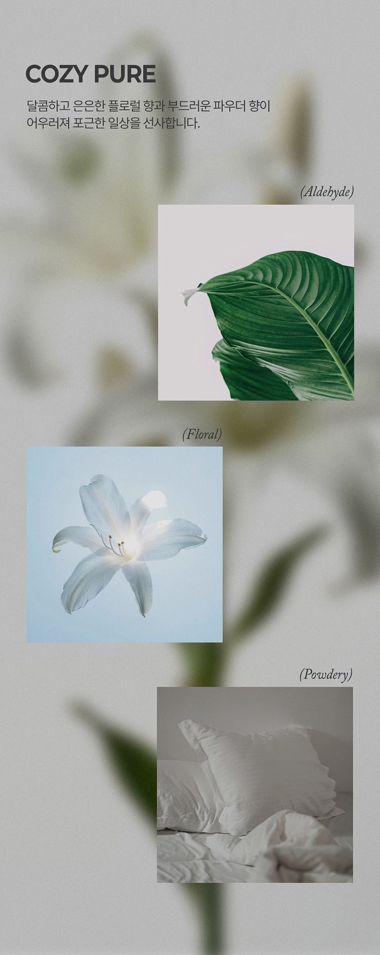 20251212092921225_750_0_80.jpg 香氛 護手霜 香水 香氛