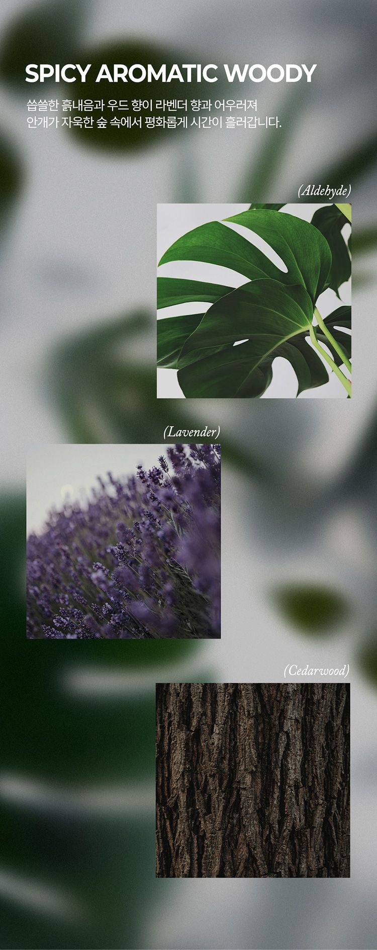 20251212092928929_750_0_80.jpg 香氛 護手霜 香水 香氛