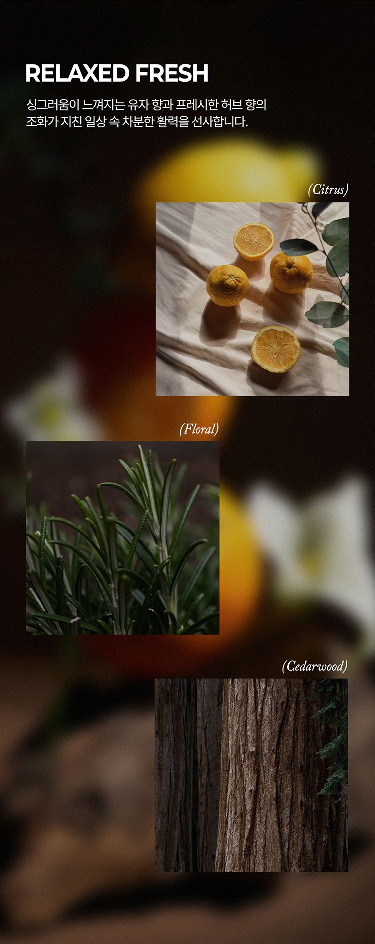 20251212092932882_750_0_80.jpg 香氛 護手霜 香水 香氛