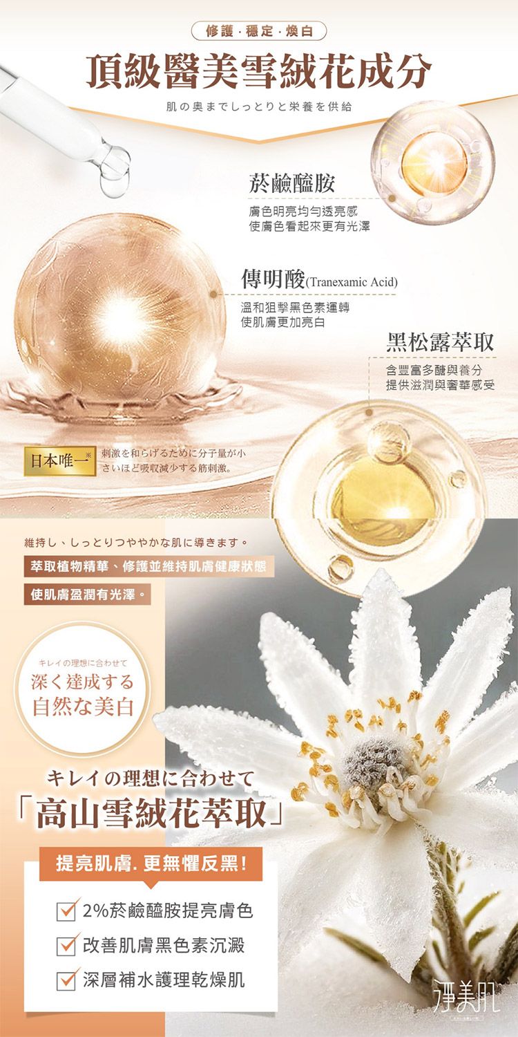 清爽 保濕 臺灣 保濕 透亮 保濕