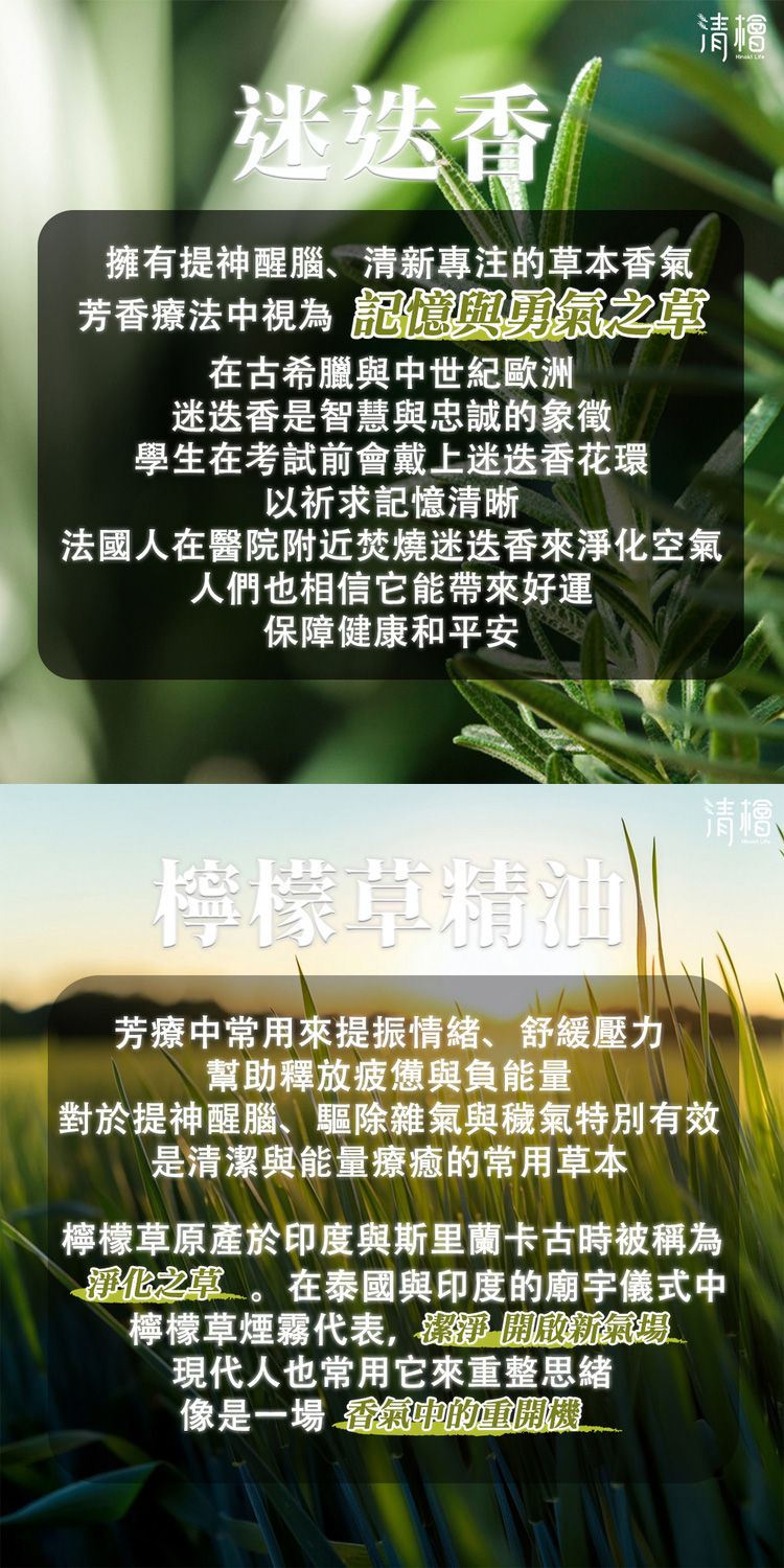 草本 艾草 草本 噴霧 艾草 除穢