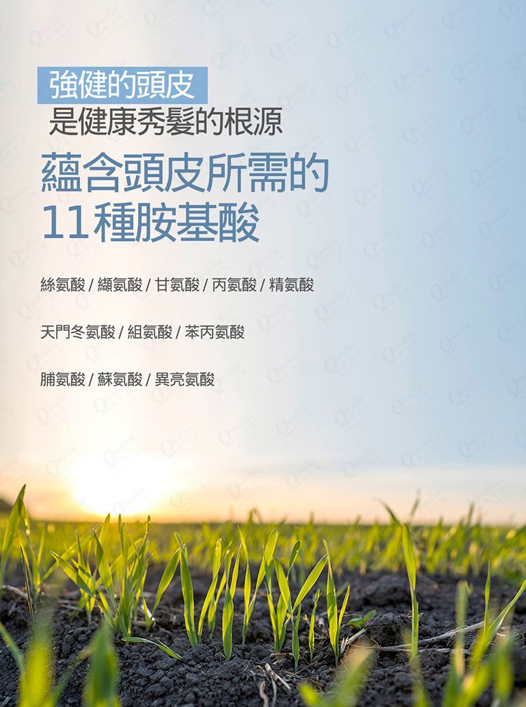 韓國 香氛 麝香 香水 麝香 香氛