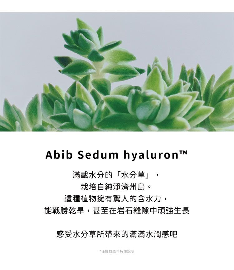 韓國 保濕 溫和 保濕 舒緩 保濕