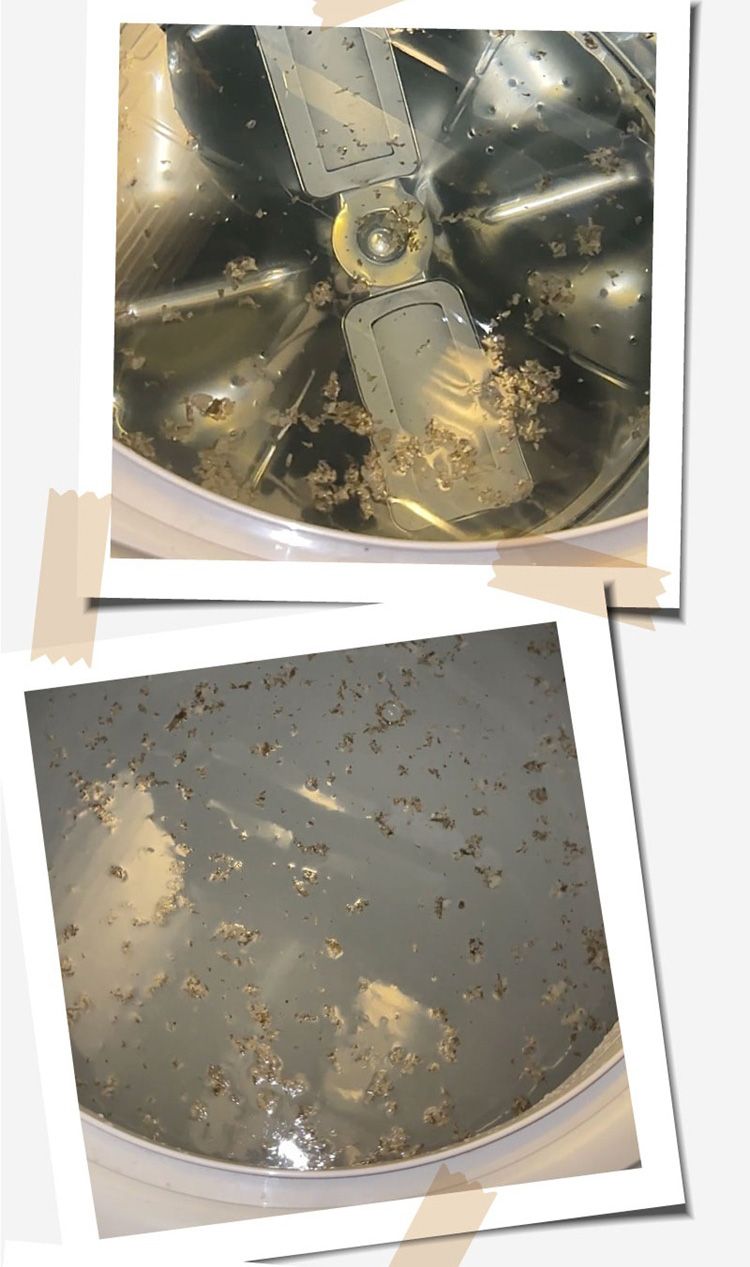 20260107120732276_750_0_80.jpg 洗衣槽 清潔劑 檸檬 清潔 除黴 清潔劑