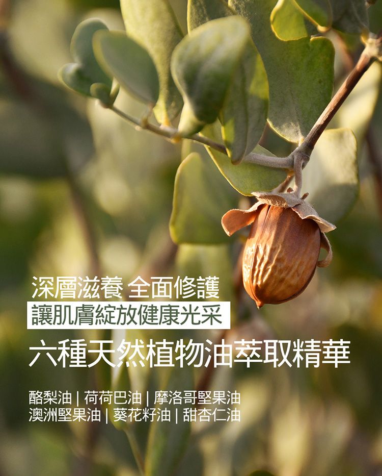 韓國 保濕 豐潤 保濕 豐潤 韓國