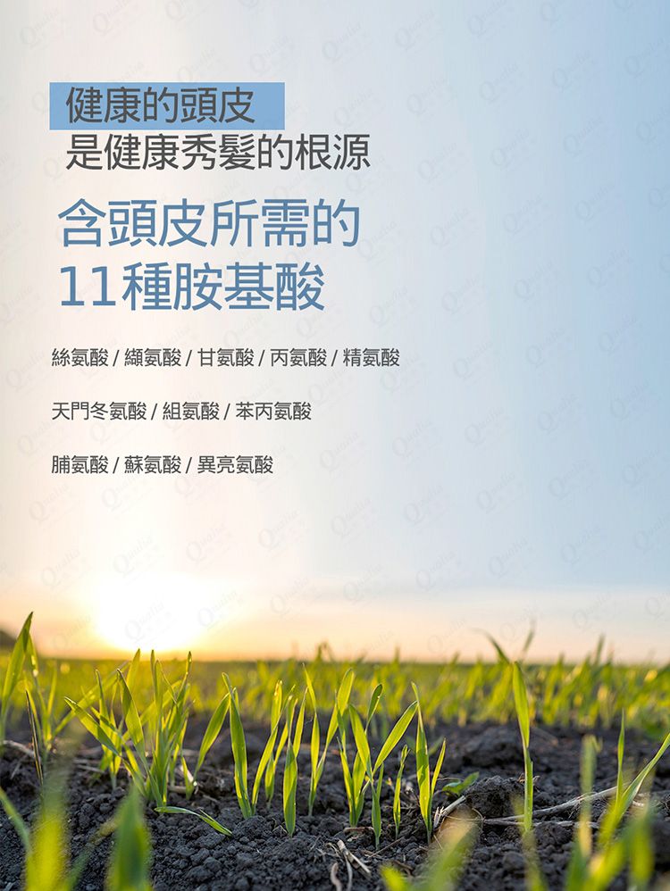 保濕 洗髮精 麝香 香水 麝香 香氛