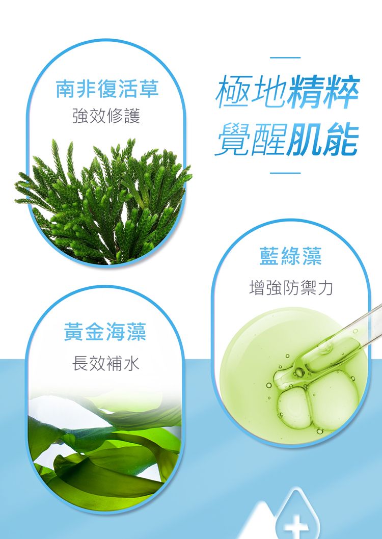 修復 面膜 緊緻 面膜 修復 精華液