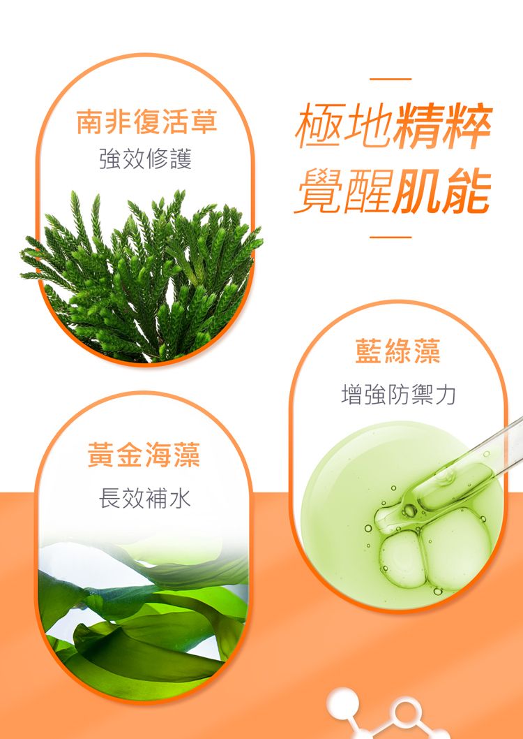 修復 面膜 緊緻 面膜 修復 精華液