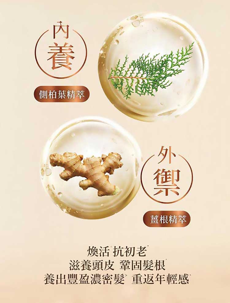 20260123114658356_750_0_80.jpg 精華 修復 洗髮露 修復 Hair Recipe 洗髮露