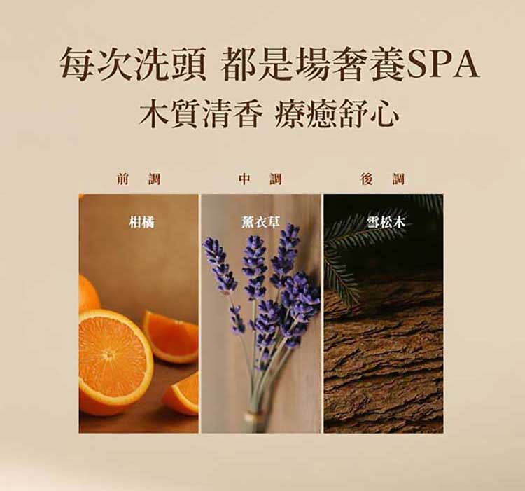 20260123114701335_750_0_80.jpg 精華 修復 洗髮露 修復 Hair Recipe 洗髮露