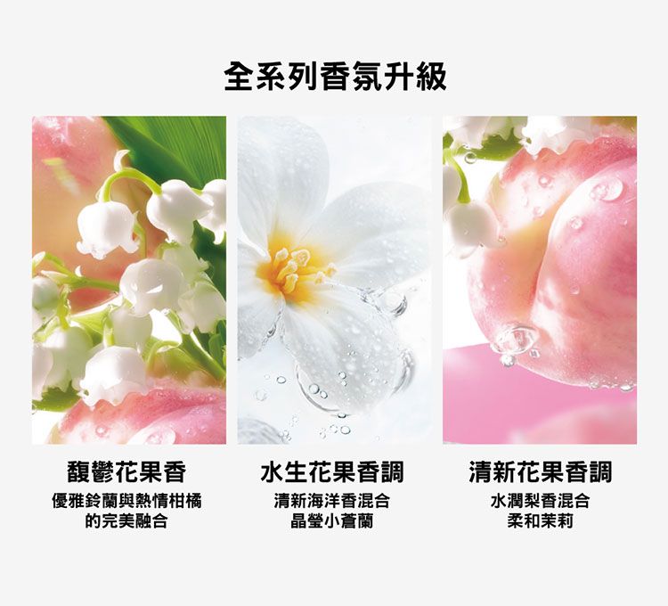 潤髮乳 修復 保濕 洗髮乳 潤髮乳 豐潤