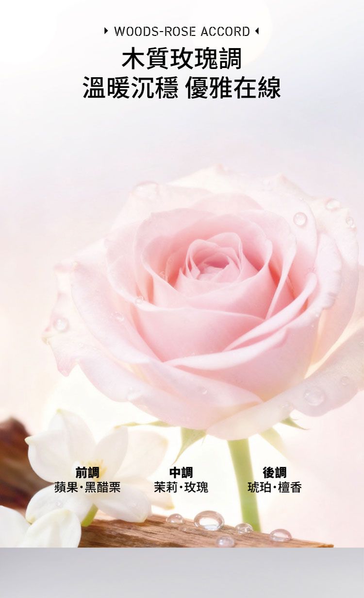 20260129133748436_750_0_80.jpg 亮澤 保濕 潤髮乳 亮澤 高效 保濕