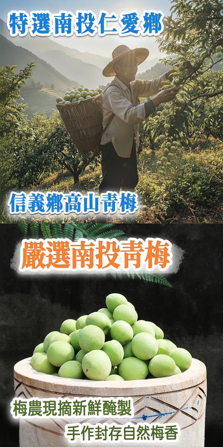 臺灣 手工 全素 臺灣 全素 鹿飽