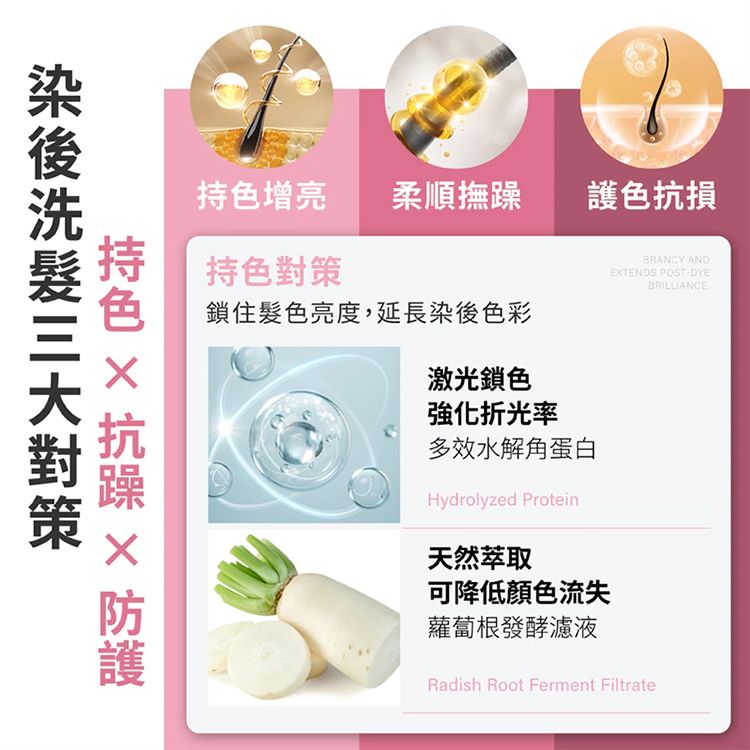 護色 洗髮精 無矽靈 洗髮精 修復 洗髮精