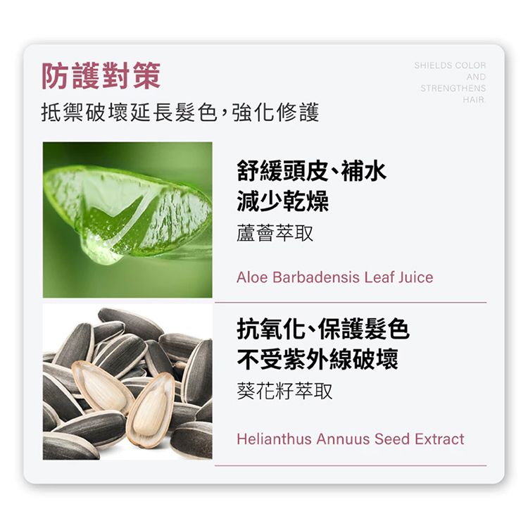 護色 洗髮精 無矽靈 洗髮精 修復 洗髮精