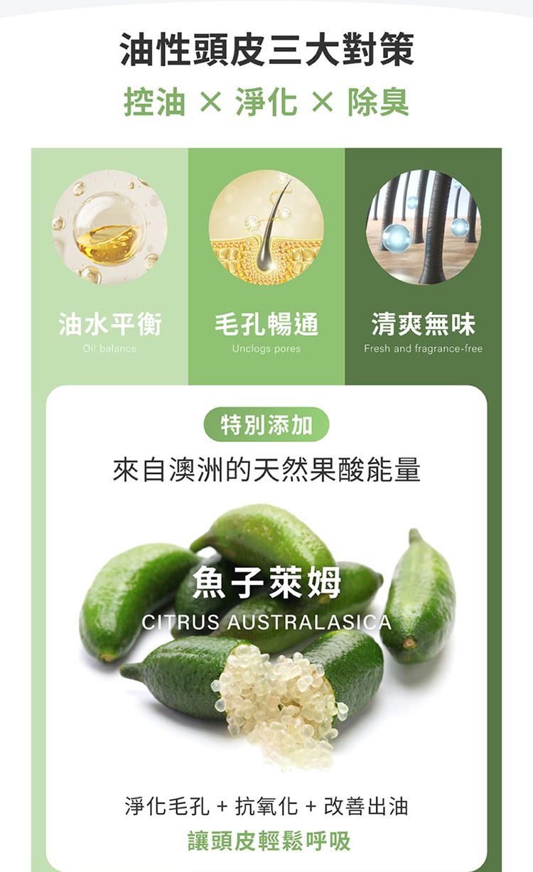 護色 洗髮精 無矽靈 洗髮精 修復 洗髮精