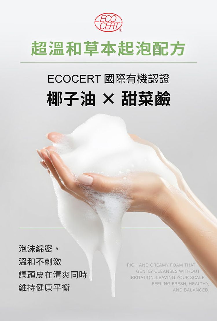 護色 洗髮精 無矽靈 洗髮精 修復 洗髮精