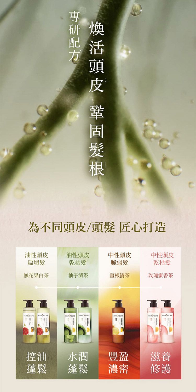 20260212171429051_750_0_80.jpg 蓬鬆 去油 洗髮露 去油 頭皮 去油