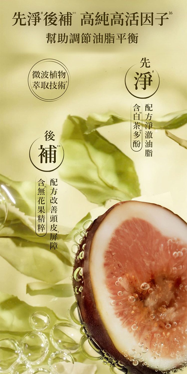 20260212171432849_750_0_80.jpg 蓬鬆 去油 洗髮露 去油 頭皮 去油