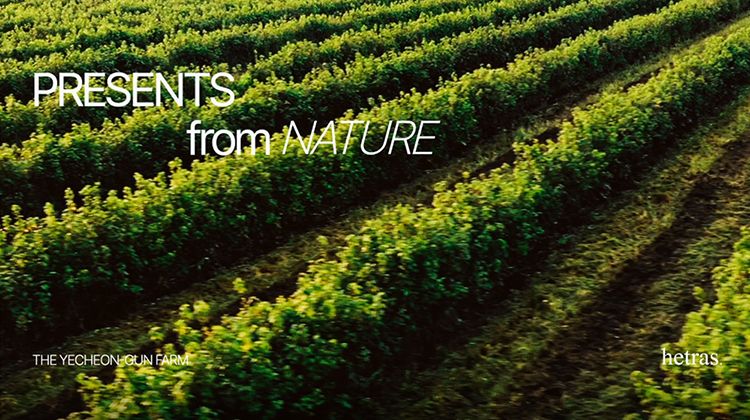 20260213110647051_750_0_80.jpg 韓國 香氛 香氛 洗髮精 韓國 洗髮精