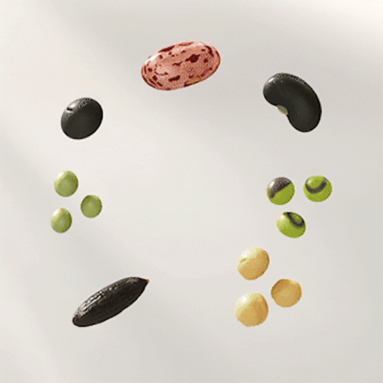 20260213110658363_700_0_80.gif 韓國 香氛 香氛 洗髮精 韓國 洗髮精