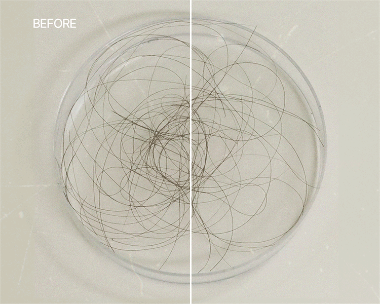 20260213110750869_700_0_80.gif 韓國 香氛 香氛 洗髮精 韓國 洗髮精